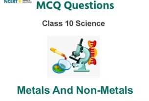 Metals and Non Metals Class 10 Science MCQ Questions