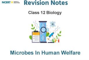 Microbes in Human Welfare Class 12 Biology Notes