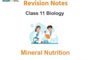 Mineral Nutrition Class 11 Biology Notes
