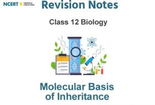 Molecular Basis of Inheritance Class 12 Biology Notes