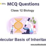 MCQs For NCERT Class 12 Biology Chapter 6 Molecular Basis of Inheritance