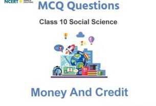 Money and Credit Class 10 MCQ Questions