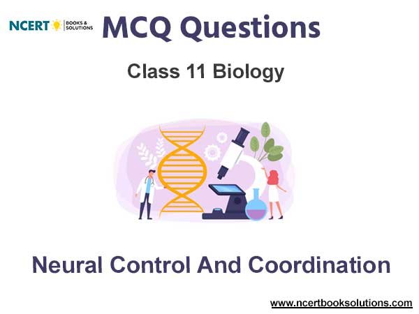 Neural Control and Coordination Class 11 Biology MCQ Questions