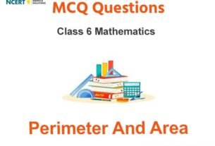 MCQs for Class 6 Perimeter And Area with Answers