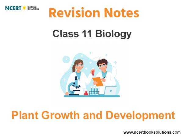 Plant Growth and Development Class 11 Biology Notes