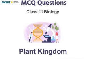 Plant Kingdom Class 11 Biology MCQ Questions