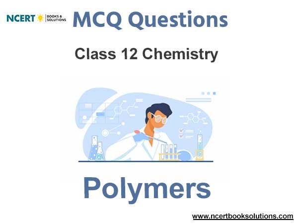 Polymers Class 12 Chemistry MCQ Questions