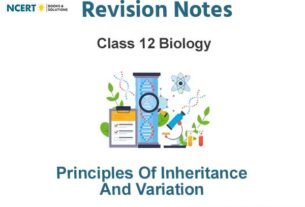 Principles of Inheritance and Variation Class 12 Biology Notes