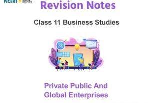 Notes and Questions Chapter 3 Private Public and Global Enterprises