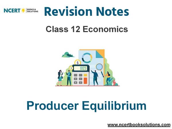 Producer Equilibrium Class 12 Economics Notes