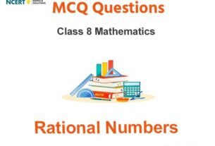 MCQs For NCERT Class 8 Rational Numbers With Answers