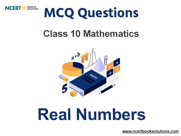 mcq questions for class 10 maths real numbers with answers