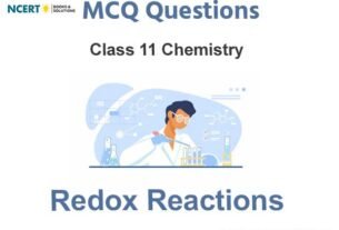 Redox Reactions Class 11 MCQ Questions