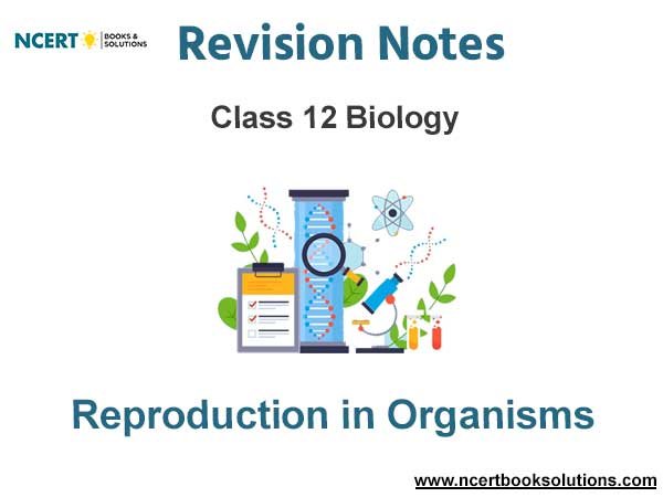 Reproduction in Organisms Class 12 Biology Notes