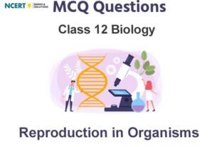 Reproduction in Organisms Class 12 Biology MCQ Questions