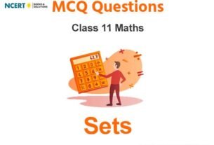 Sets Class 11 MCQ Questions