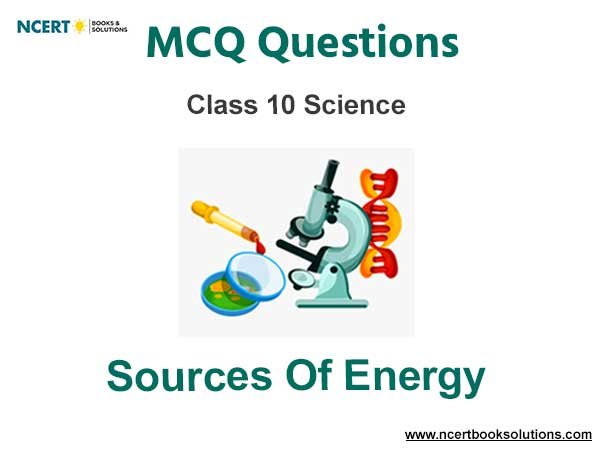 Sources of Energy Class 10 Science MCQ Questions