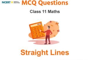 Straight Lines Class 11 MCQ Questions