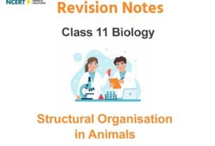 Structural Organisation in Animals Class 11 Biology Notes