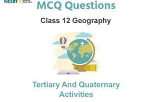 Tertiary and Quaternary Activities Class 12 Geography MCQ Questions