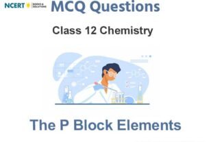 The p Block Elements Class 12 Chemistry MCQ Questions