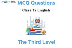 The Third Level Class 12 MCQ Questions with Answers