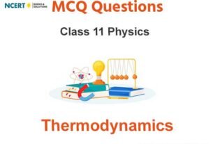 Thermodynamics Class 11 Physics MCQ Questions