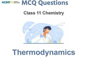 Thermodynamics Class 11 Chemistry MCQ Questions