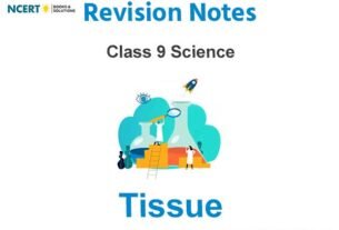Tissue Class 9 Science Notes