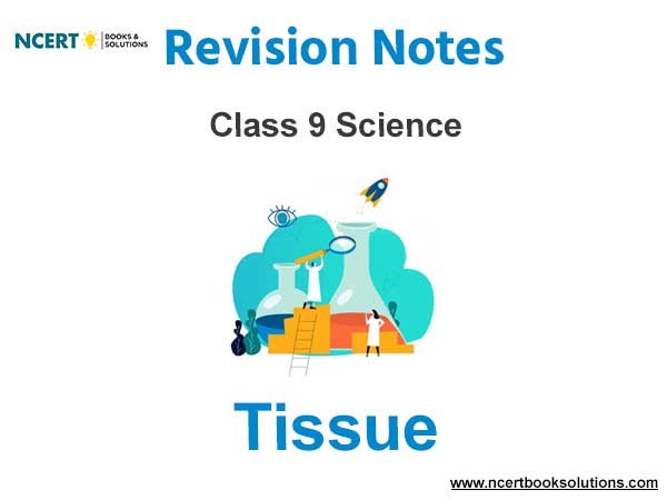 Tissue Class 9 Science Notes