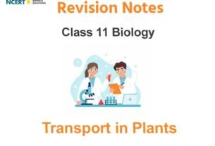 Transport in Plants Class 11 Biology Notes