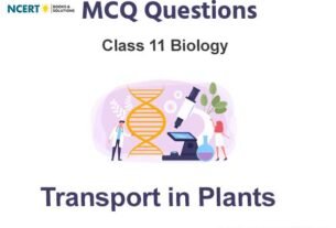 Transport in Plants Class 11 Biology MCQ Questions