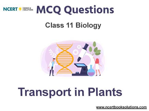 Transport in Plants Class 11 Biology MCQ Questions