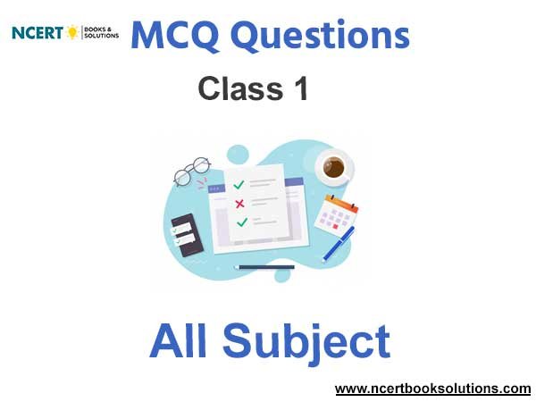 MCQ for Class 1