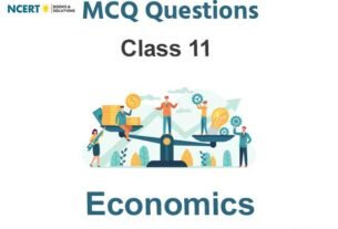 MCQ questions for Class 11 Economics