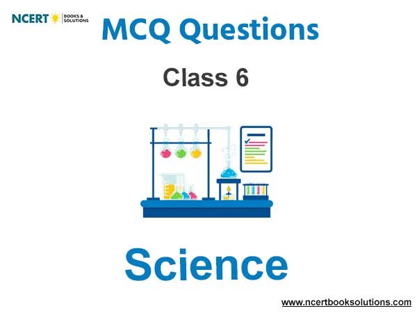 MCQs for Class 6 Science with Answers