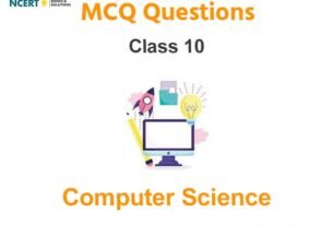MCQs For NCERT Class 10 Computers With Answers