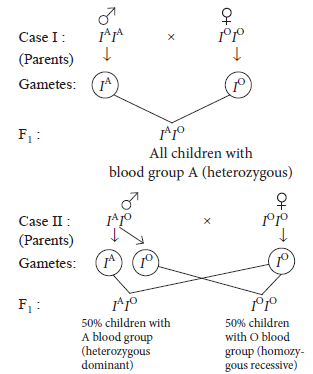 Heredity And Evolution Class 10 Science Exam Questions