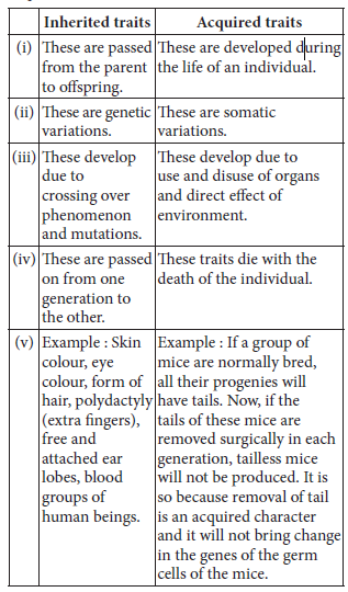 Heredity And Evolution Class 10 Science Exam Questions