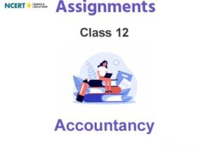 Assignments Class 12 Accountancy Pdf Download