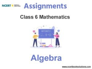 algebra assignment class 6
