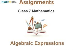 Assignments Class 7 Mathematics Algebraic Expressions Pdf Download