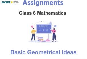 Assignments Class 6 Mathematics Basic Geometrical Ideas Pdf Download