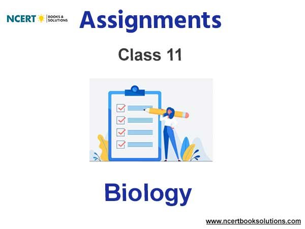 Assignments Class 11 Biology Pdf Download