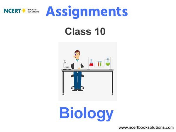 Assignments Class 10 Biology Pdf Download