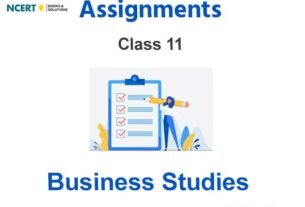 Assignments Class 11 Business Studies Pdf Download