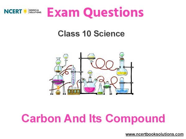 Carbon and Its Compound Class 10 Science Exam Questions