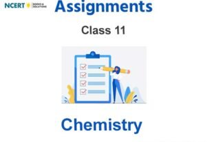 Assignments Class 11 Chemistry Pdf Download