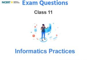 Class 11 Informatics Practices Important Questions