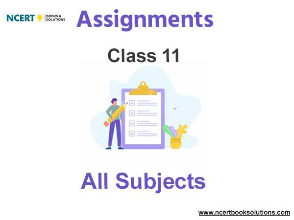Assignments Class 11 Pdf Download